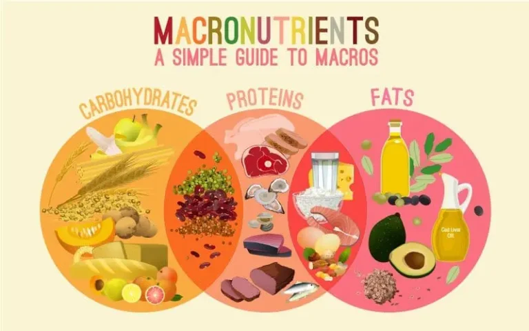 What Are Macros And How Do You Count Them?